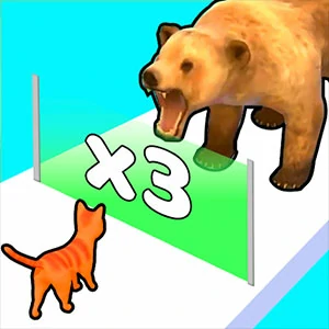 Cat Evolution